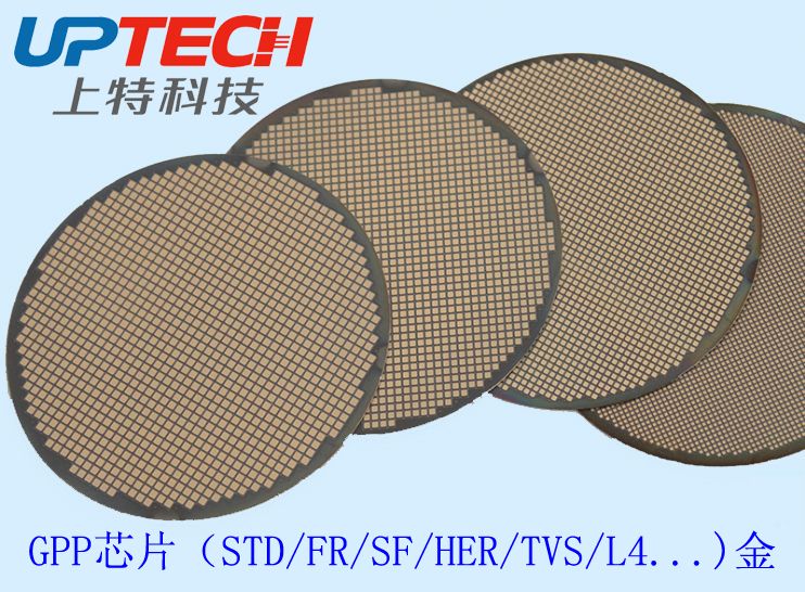 GPP芯片(金)